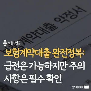 보험계약대출-완전정복-급전은-가능하지만-주의사항은-필수-확인