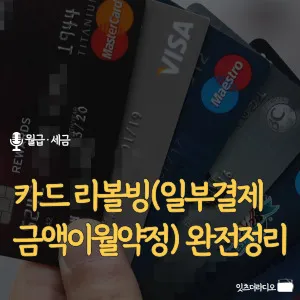 카드-리볼빙-일부결제금액이월약정-완전정리