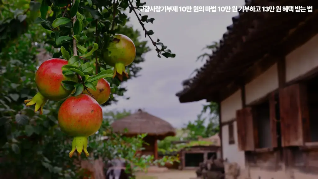 고향사랑기부제-10만원-공제