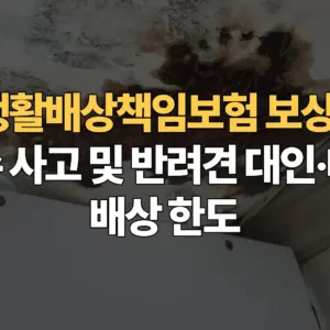 일상생활배상책임보험-보상-범위-누수-사고-반려견-대인-대물-배상-한도