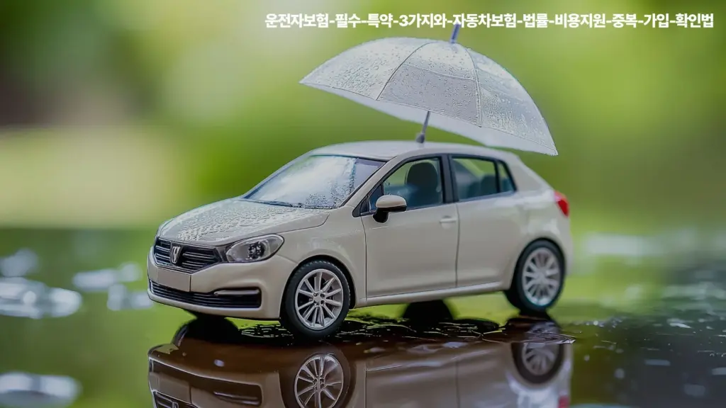 운전자보험-자동차보험