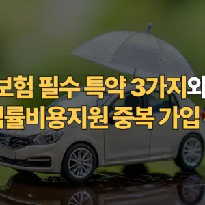 운전자보험-필수-특약-3가지와-자동차보험-법률-비용지원-중복-가입-확인법