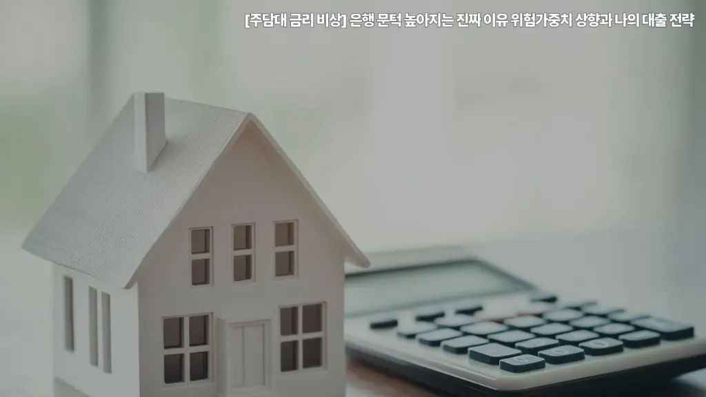 주담대-금리-비상-위험가중치-대출