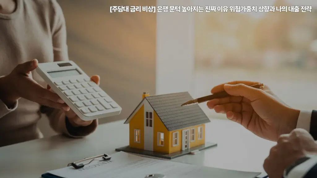 주담대-금리-비상-위험가중치-상향