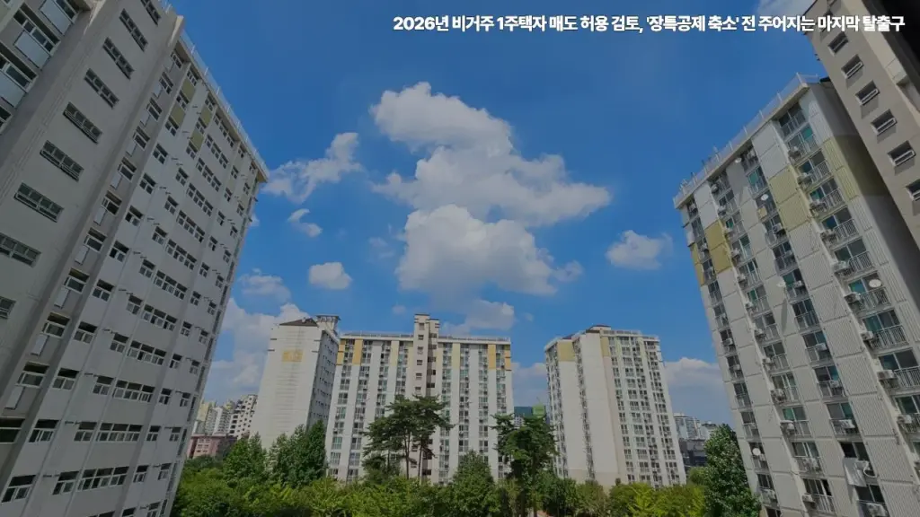 비거주-1주택자-매도-허용-검토