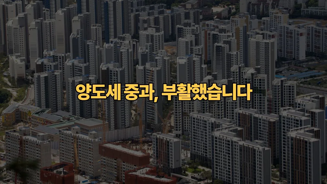 다주택자 양도세 중과 5월 10일 부활, 조정지역 2주택자도 해당되나요?