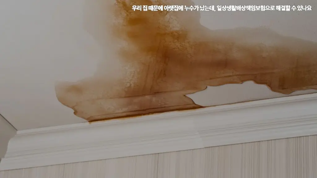 우리-집-때문에-아랫집에-누수가-났는데-일상생활배상책임보험으로-해결